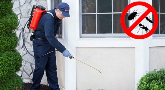 Beylikdüzü Dezenfeksiyon böcek ilaçlama ve haşere kontrolü — ilaclama-tr.com